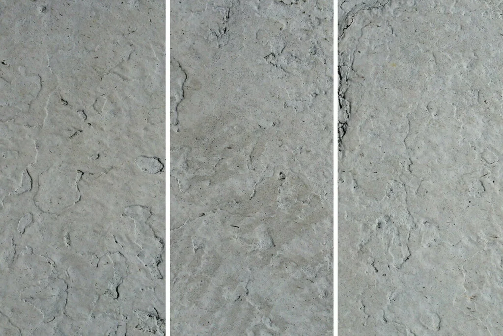 E6962_01.jpg E6962_01.jpg