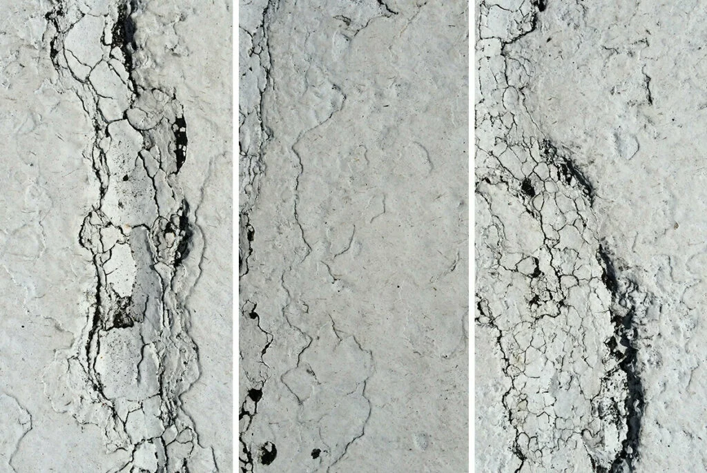 E6962_02.jpg E6962_02.jpg