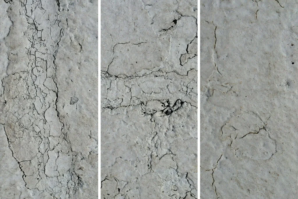 E6962_04.jpg E6962_04.jpg