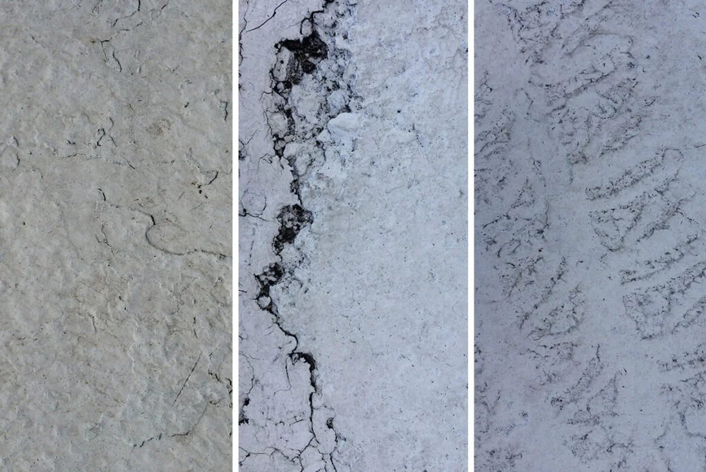 E6962_05.jpg E6962_05.jpg