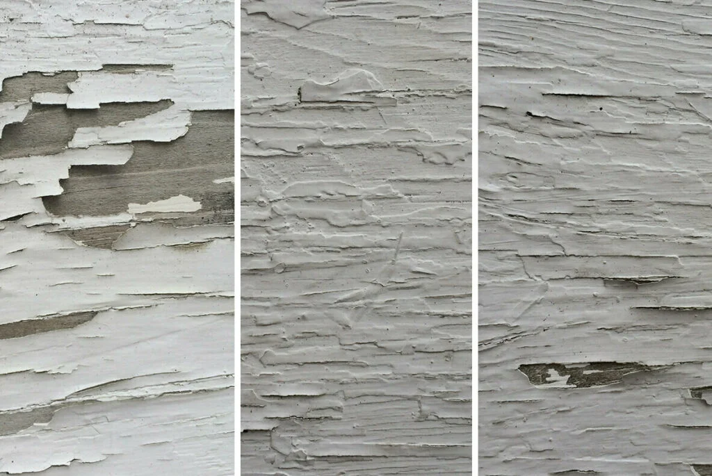 E6982_02.jpg E6982_02.jpg