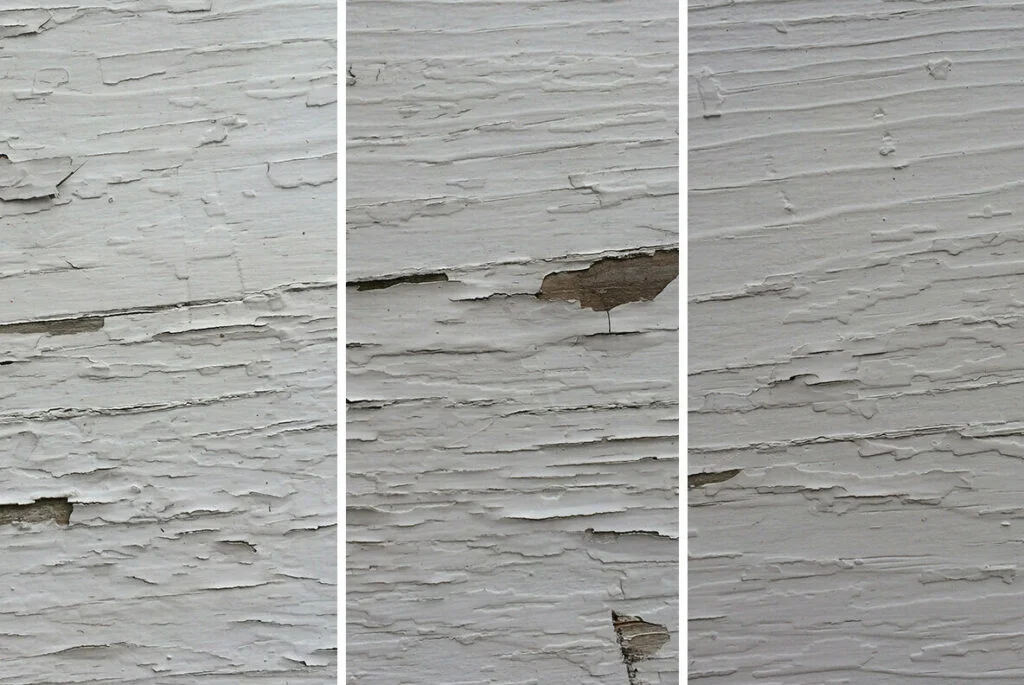 E6982_04.jpg E6982_04.jpg