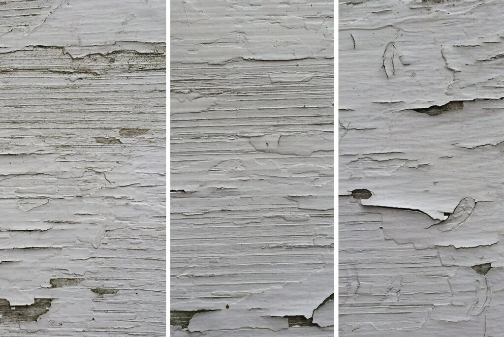 E6982_05.jpg E6982_05.jpg