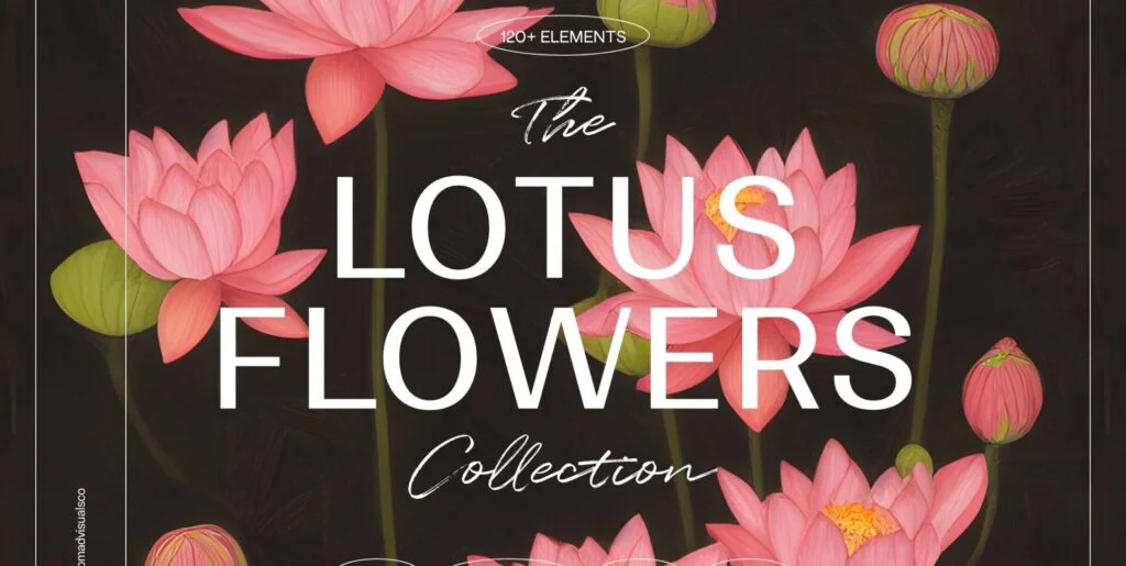 Lotus Flowers Graphics - Image 1