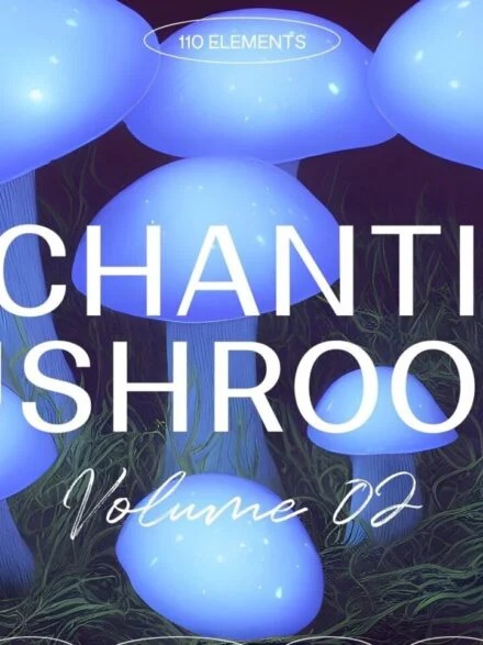 Enchanting Mushrooms Vol.01 Graphics - Image 2