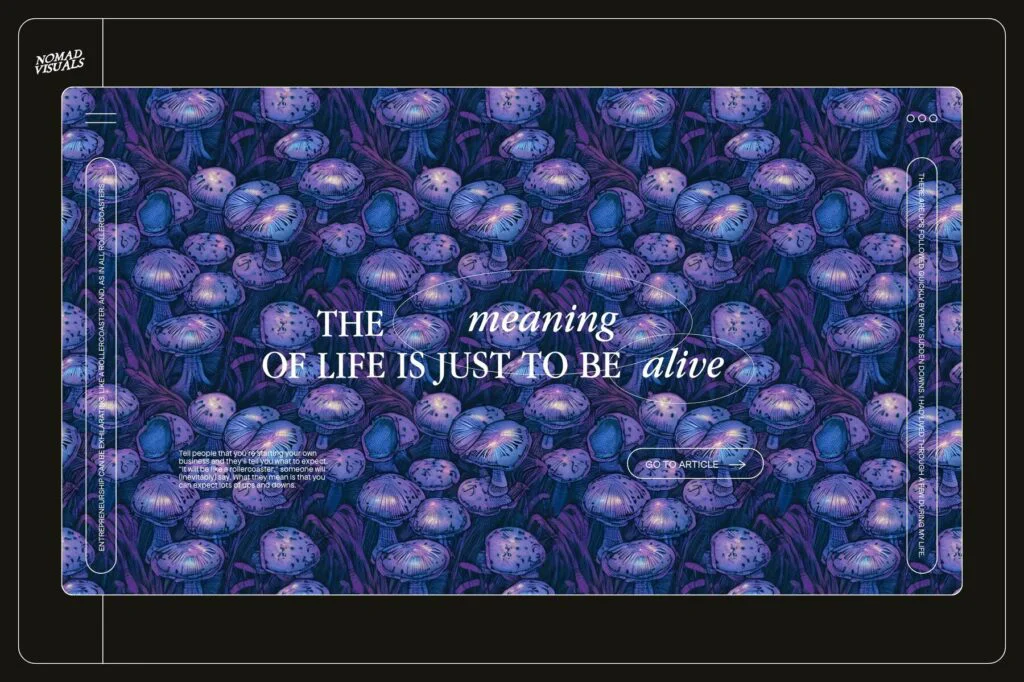 E8968_03.jpg E8968_03.jpg