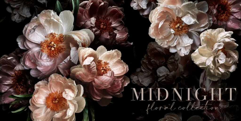 Midnight Peony Graphics Collection Graphics - Image 2