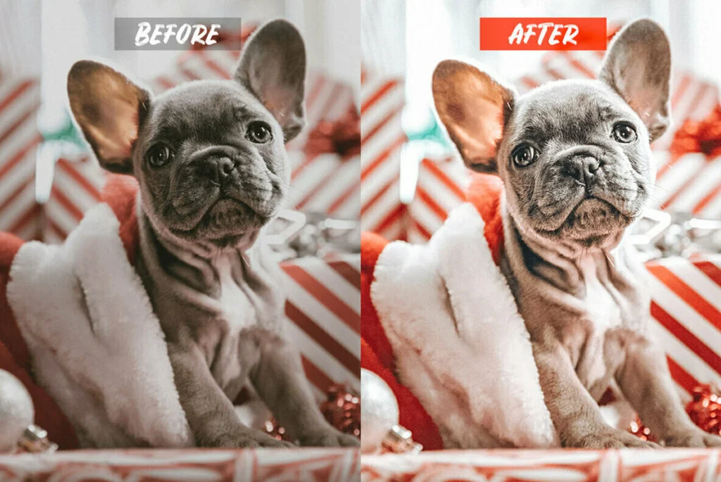 E6096_01.jpg E6096_01.jpg