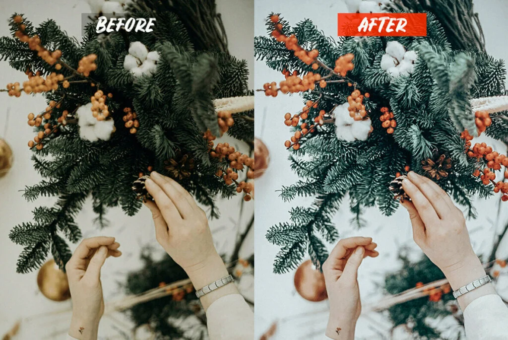 E6096_02.jpg E6096_02.jpg