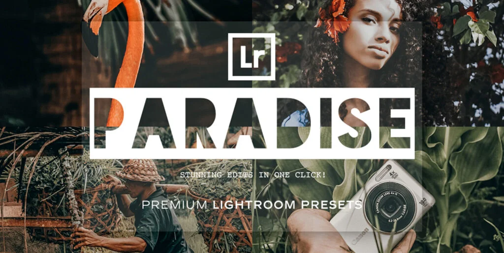 Paradise – Lightroom Presets Graphics - Image 2