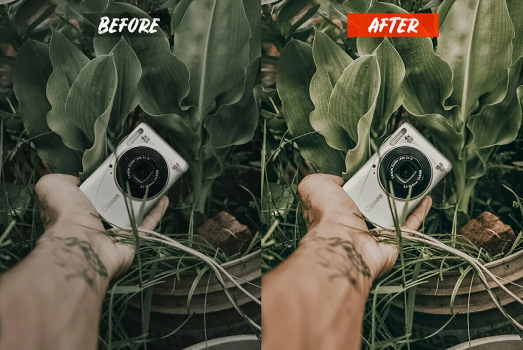 E6100_01.jpg E6100_01.jpg