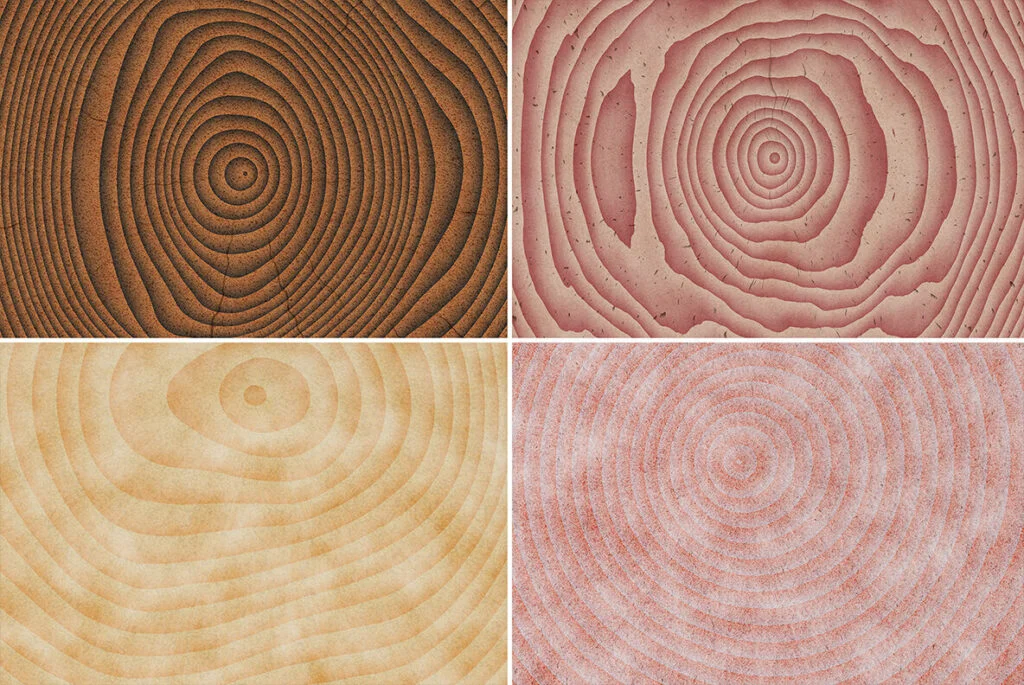 E6112_04.jpg E6112_04.jpg