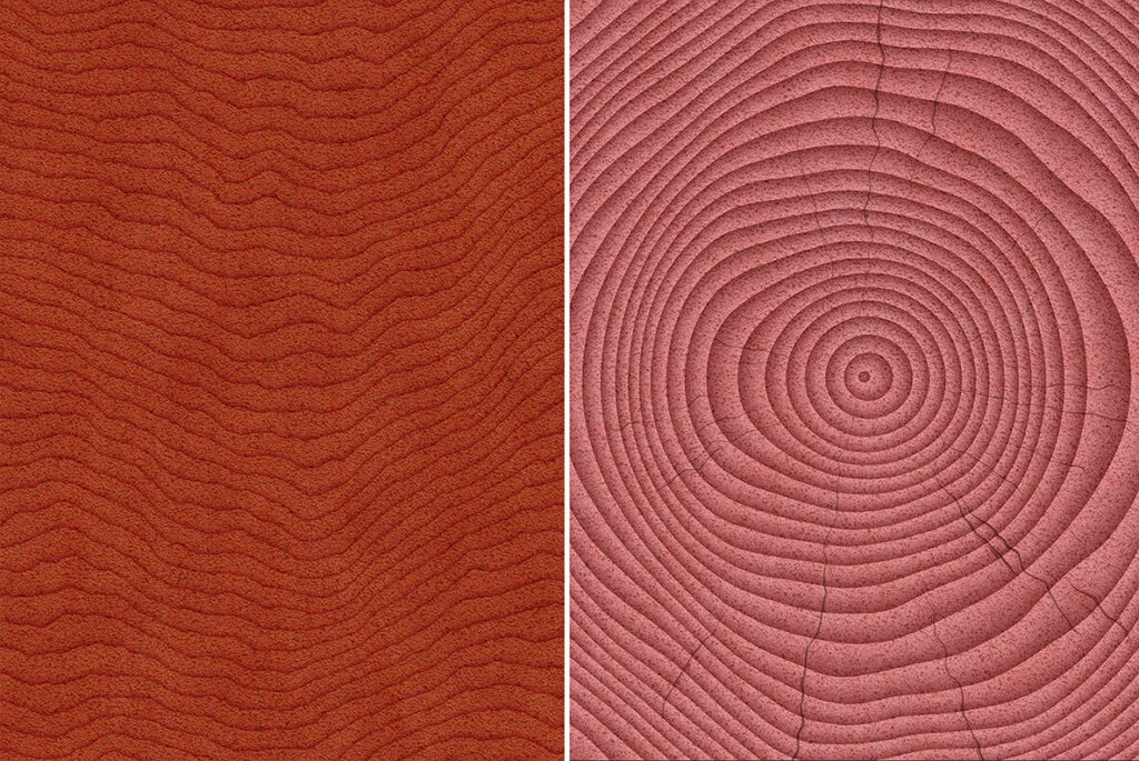 E6112_05.jpg E6112_05.jpg