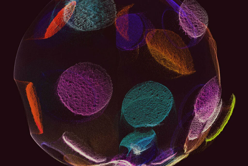 E6113_01.jpg E6113_01.jpg