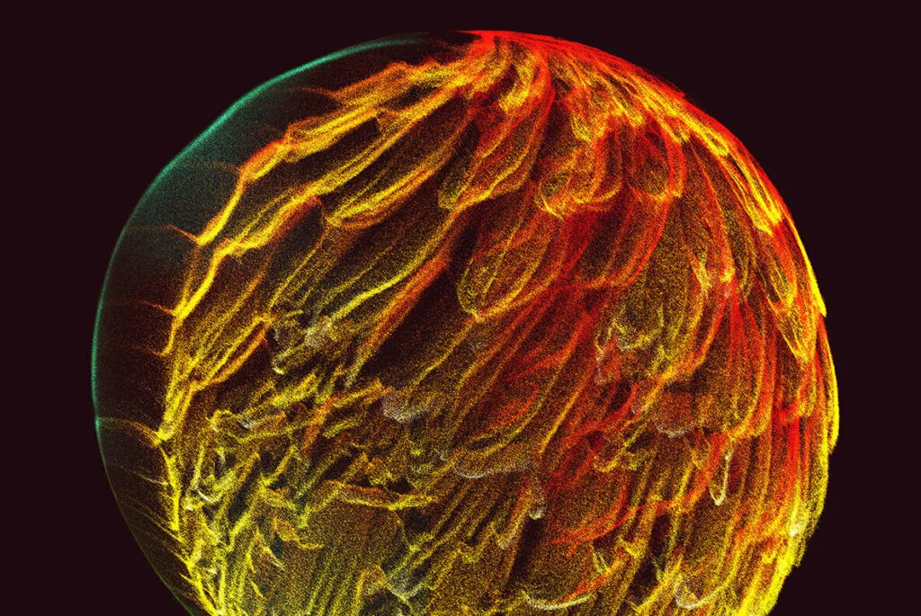 E6113_03.jpg E6113_03.jpg