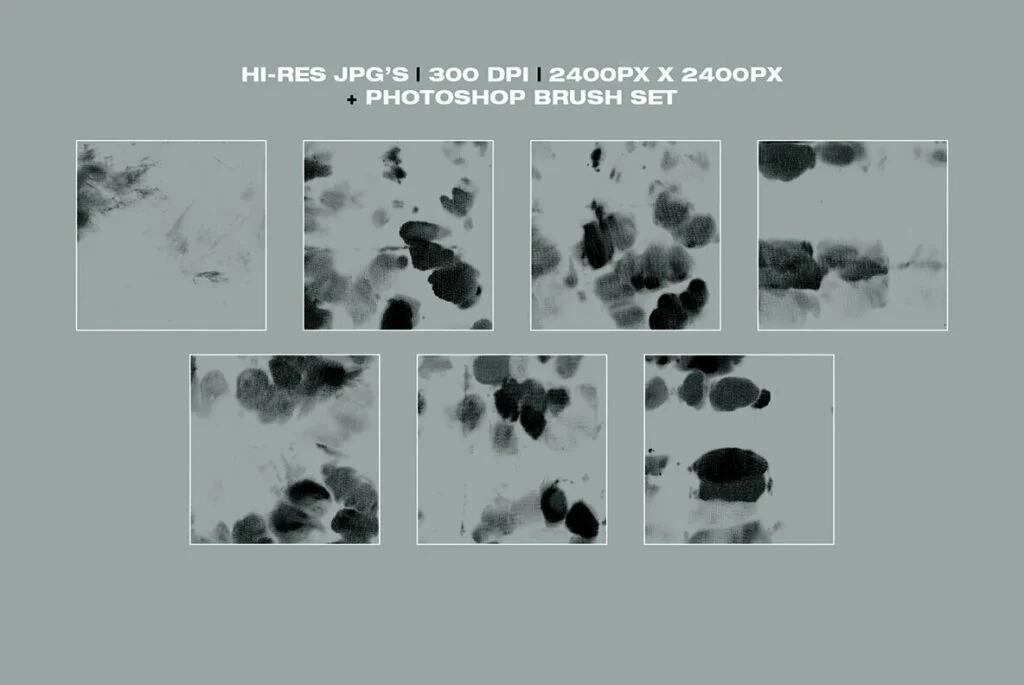 E6164_01.jpg E6164_01.jpg