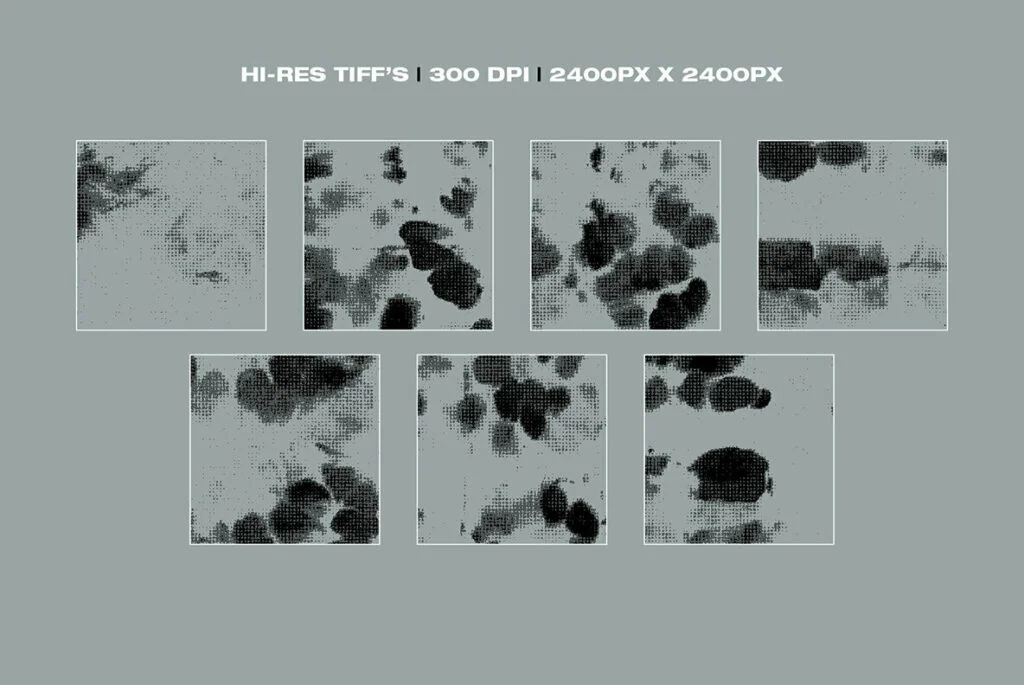 E6164_02.jpg E6164_02.jpg