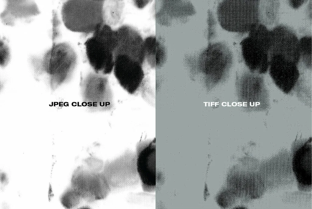 E6164_03.jpg E6164_03.jpg