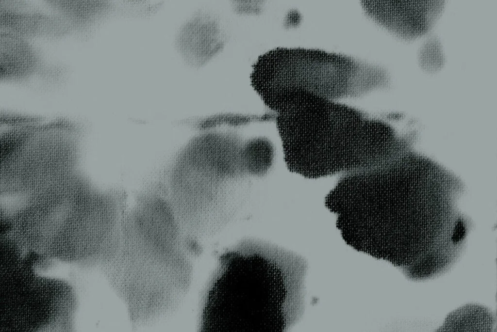 E6164_04.jpg E6164_04.jpg