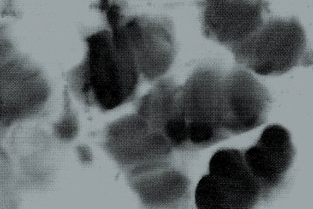 E6164_05.jpg E6164_05.jpg