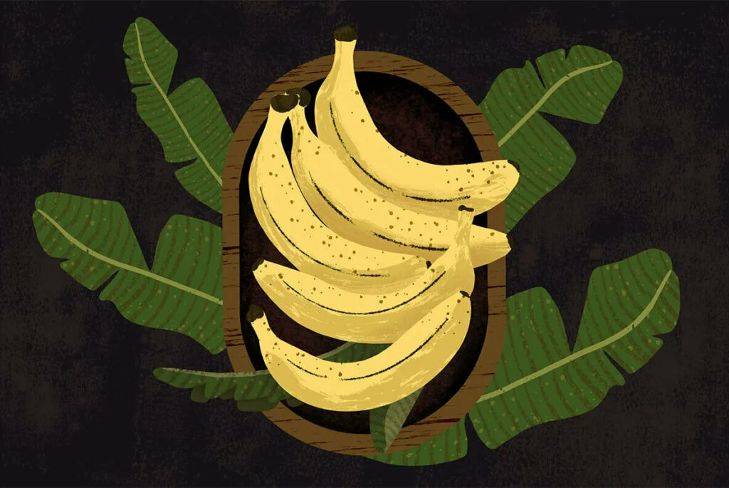 E6180_02.jpg E6180_02.jpg