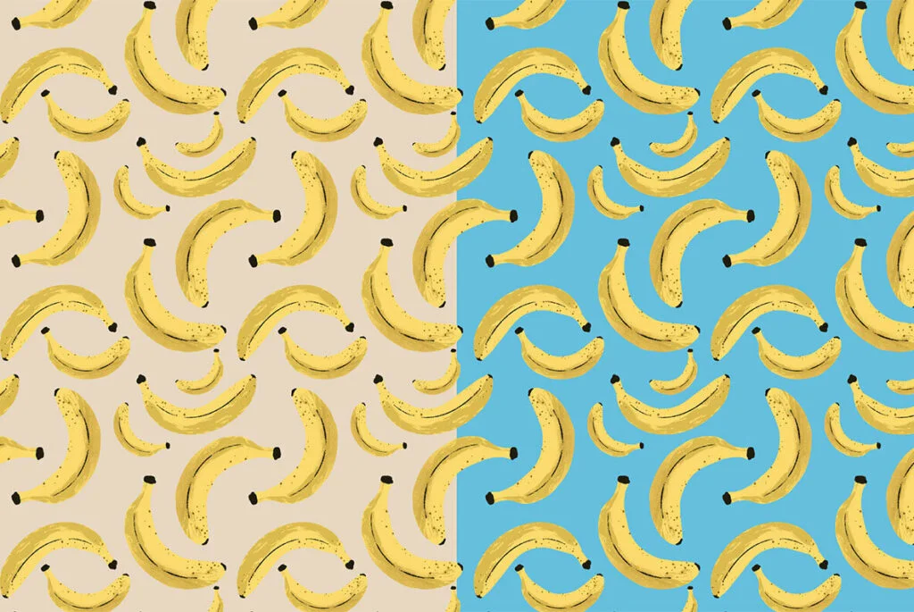 E6180_03.jpg E6180_03.jpg