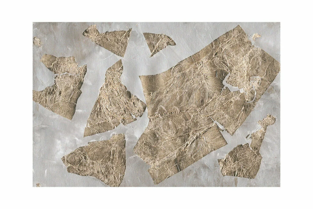 E6282_02.jpg E6282_02.jpg