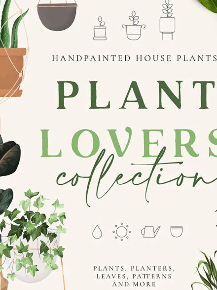 Plant Lovers Collection Graphics - Image 6