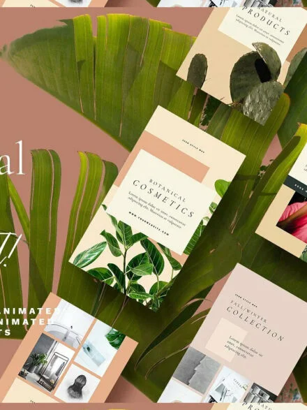 Natural Store – Animated Stories Graphics - Image 2