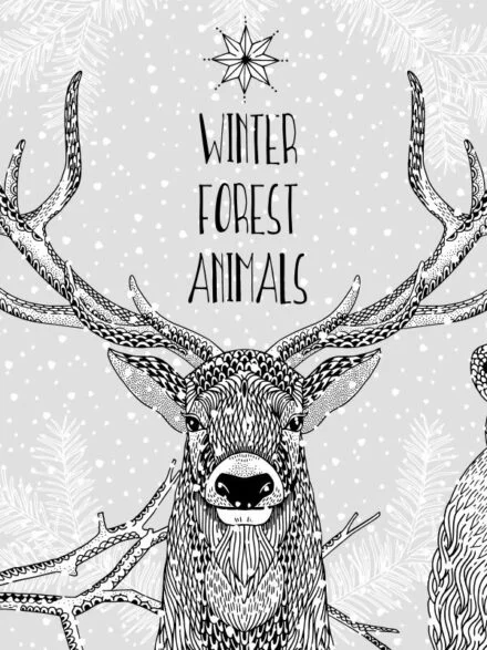 Winter Forest Animals Graphics - Image 6