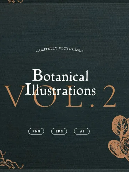 Botanical Illustrations Vol. 2 Graphics - Image 5