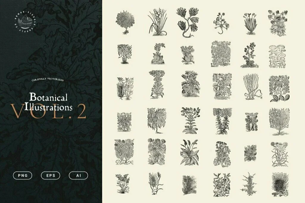 E6455_02.jpg E6455_02.jpg