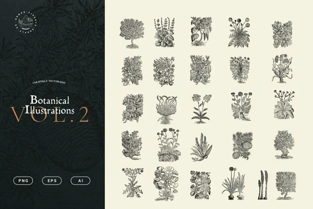 E6455_03.jpg E6455_03.jpg