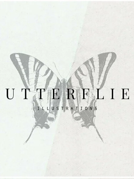 Butterflies Illustrations Graphics - Image 7