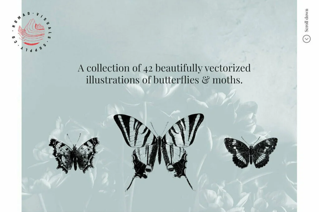 E6456_01.jpg E6456_01.jpg