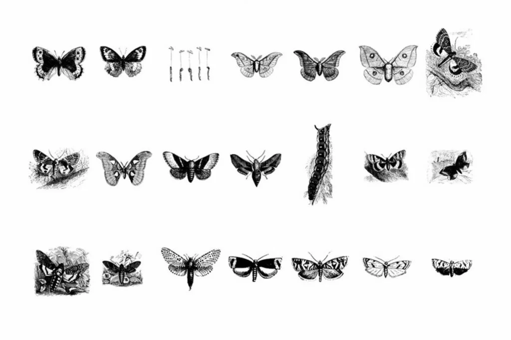 E6456_04.jpg E6456_04.jpg