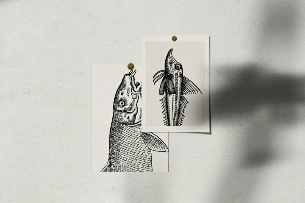 E6467_02.jpg E6467_02.jpg