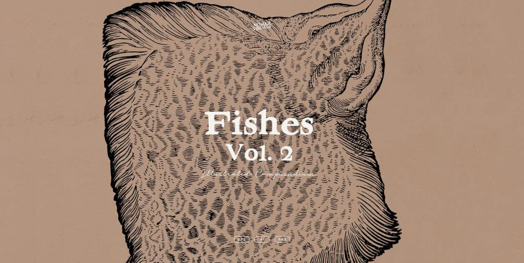 Fishes Vol.2 Graphics - Image 1