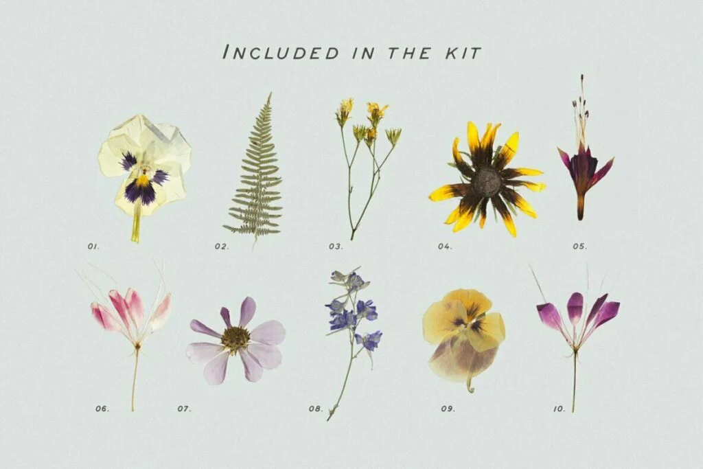 E6487_02.jpg E6487_02.jpg