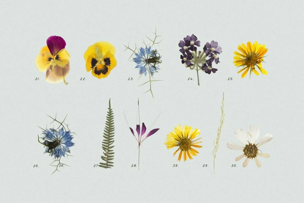 E6487_04.jpg E6487_04.jpg