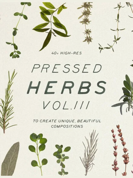 Pressed Dry Herbs Vol.3 Graphics - Image 1