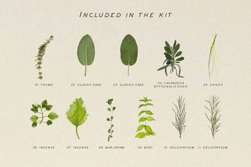 E6488_01.jpg E6488_01.jpg