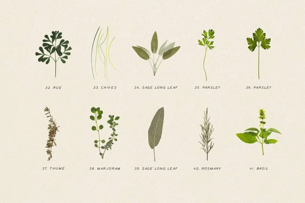 E6488_04.jpg E6488_04.jpg