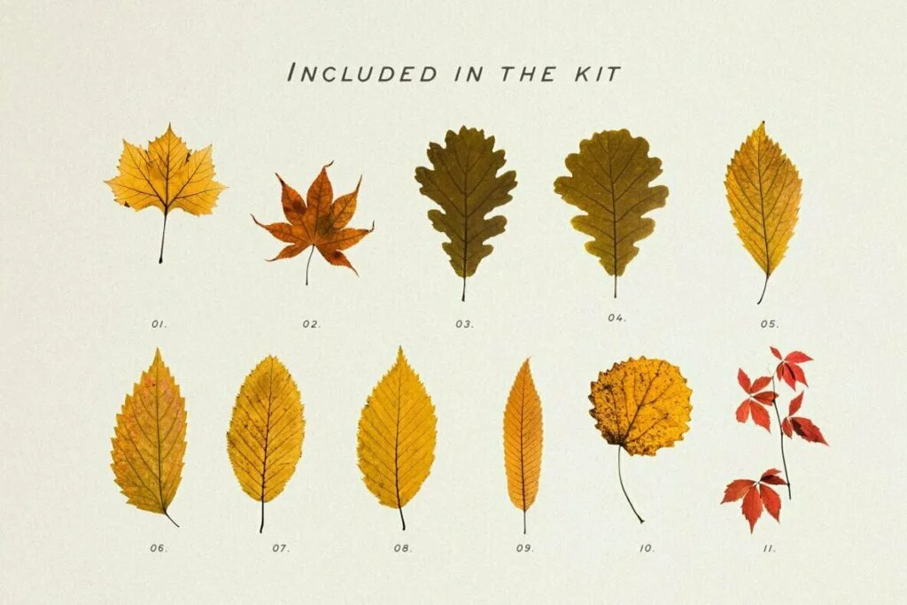 E6489_01.jpg E6489_01.jpg