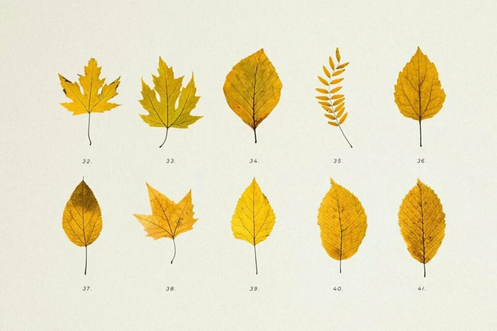 E6489_04.jpg E6489_04.jpg