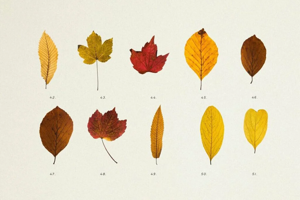 E6489_05.jpg E6489_05.jpg