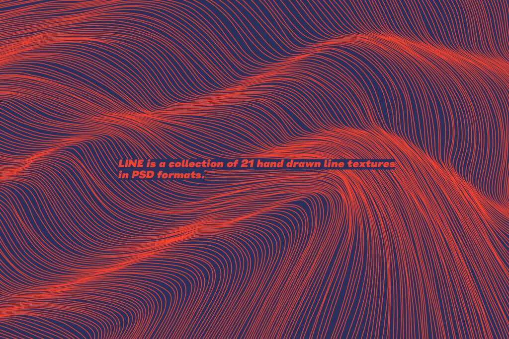 E8987_03.jpg E8987_03.jpg