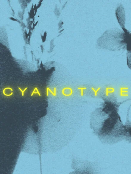 Floral Cyanotype Graphics - Image 8