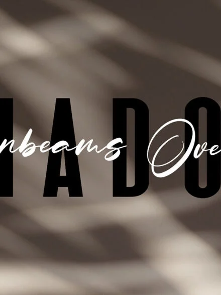 Sunbeams Shadow Overlays Graphics - Image 6