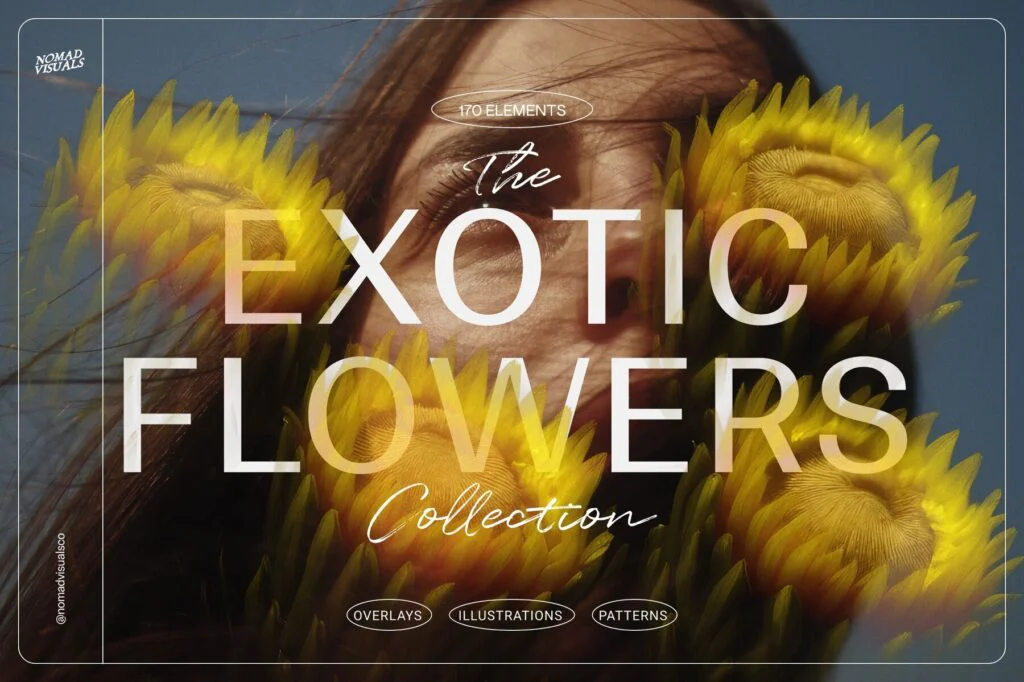 E9080_00.jpg E9080_00.jpg